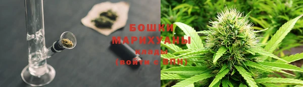 ПСИЛОЦИБИНОВЫЕ ГРИБЫ Балахна