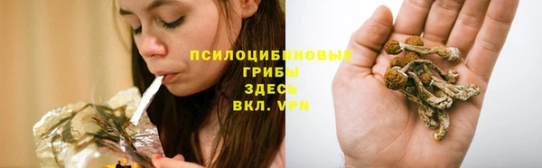 ПСИЛОЦИБИНОВЫЕ ГРИБЫ Балахна