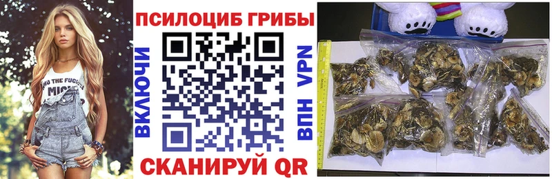 Галлюциногенные грибы мицелий  Белинский 
